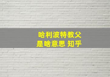 哈利波特教父是啥意思 知乎